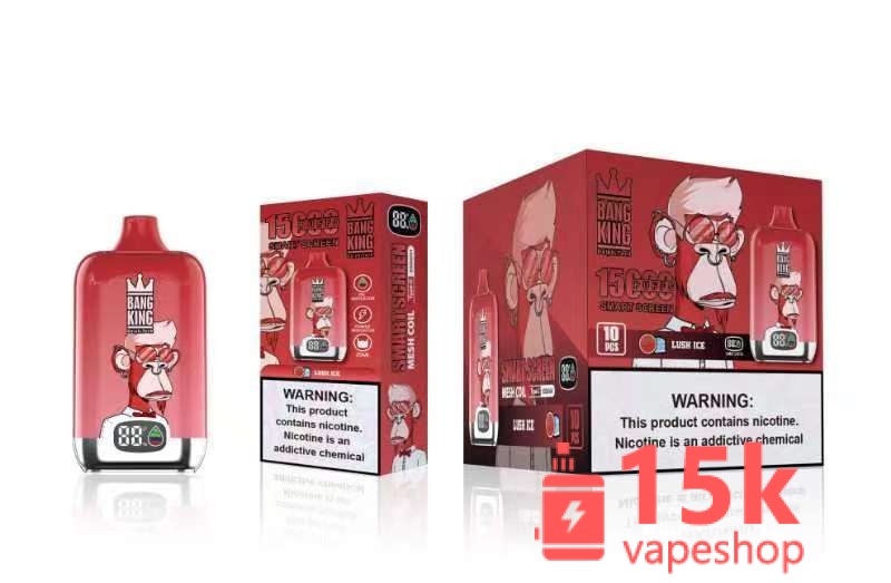 Bang King 25000 Puffs E-Hookah Pen Disposable Vape Kit - Fruit Flavors, Non-Replaceable Coils, Metal - 画像 (2)