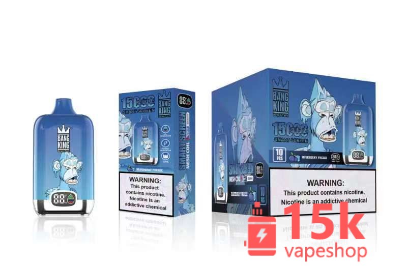 Bang King 25000 Puffs E-Hookah Pen Disposable Vape Kit - Fruit Flavors, Non-Replaceable Coils, Metal - 画像 (3)
