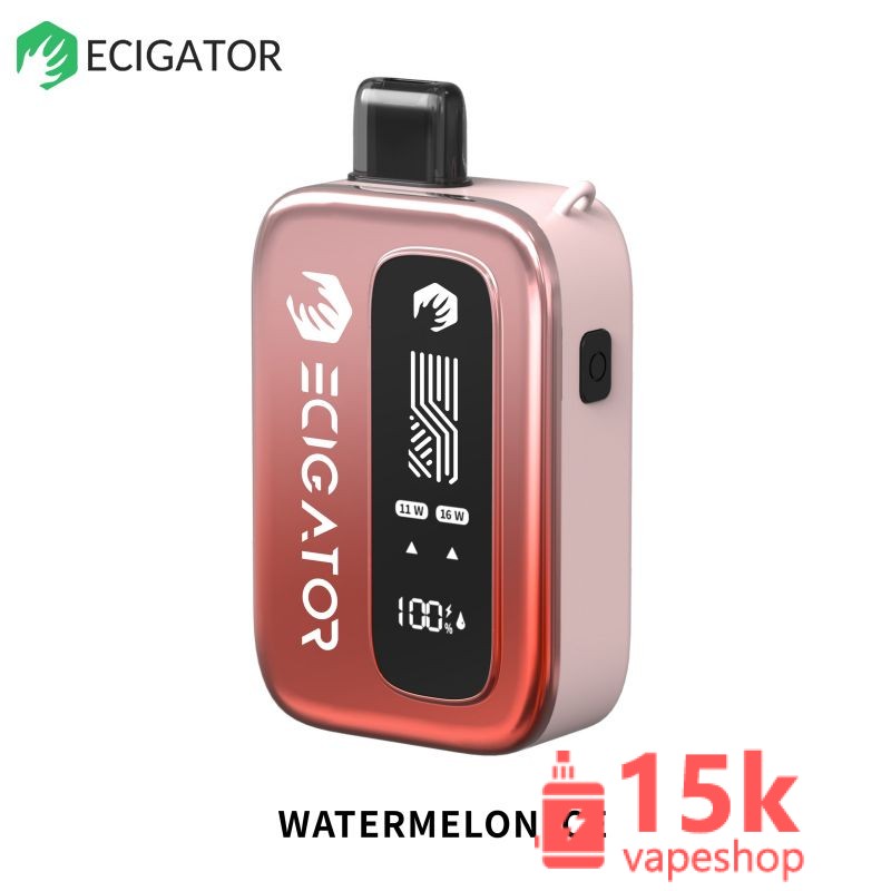 Ecigator 12000 Puffs Disposable Vape Box with Adjustable Airflow & Dual Mesh Coil - Wholesale E-Cigarettes - 画像 (2)